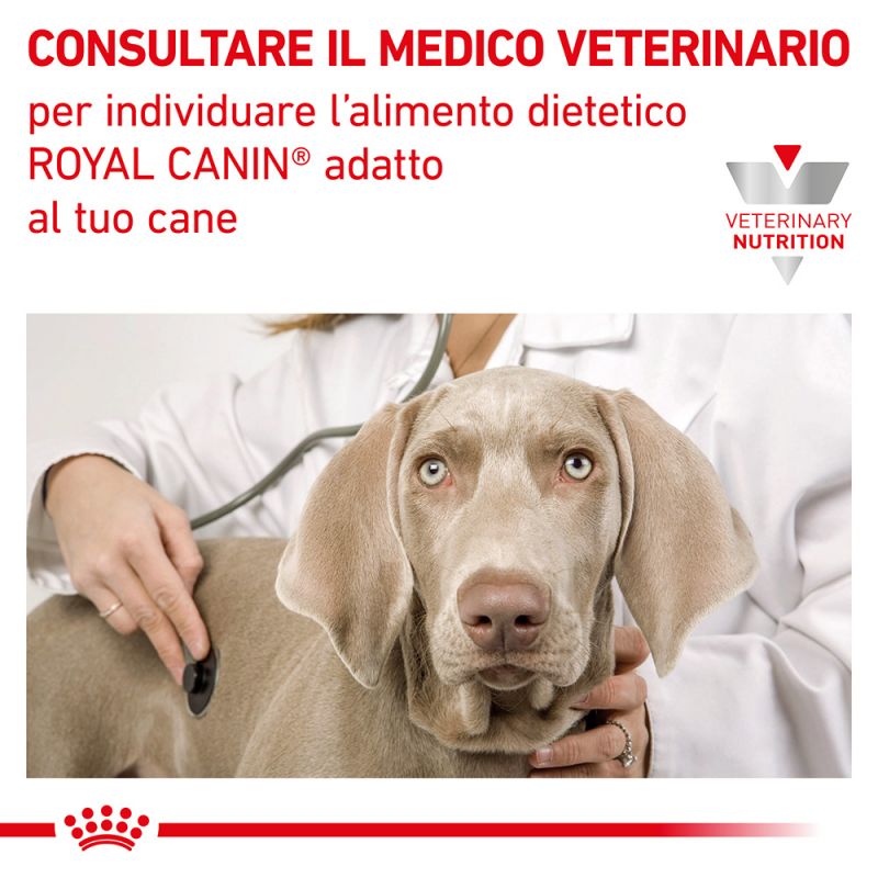 Royal Canin Puppy Gastrointestinal Canine Veterinary Mousse umido per cani 24x195gr Royal Canin Puppy Gastrointestinal Canine Veterinary Mousse umido per cani 24x195gr